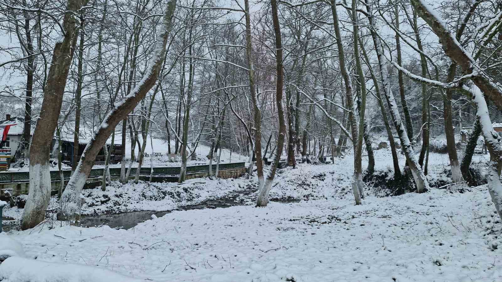 Tekirdağ’ın yüksek kesimleri yağan karla beyaza büründü
