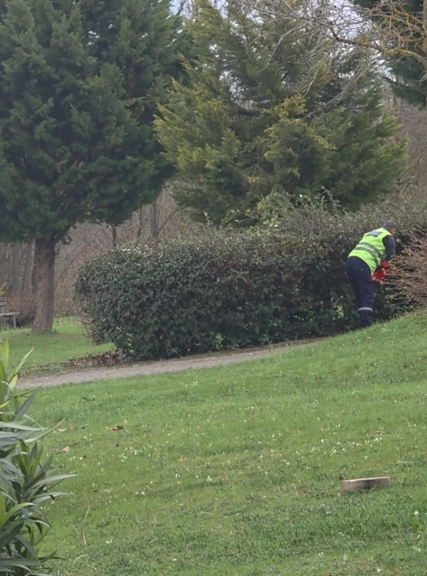 Temizlik işçisi, çalılıklar arasında bulduğu Türk bayrağını yerde bırakmadı
