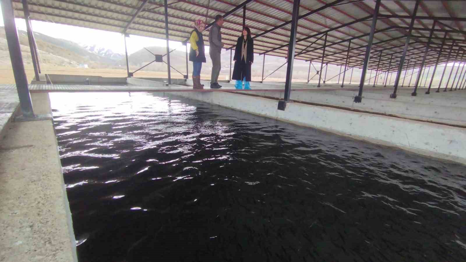 Tercan’da alabalık üretim tesisine denetim
