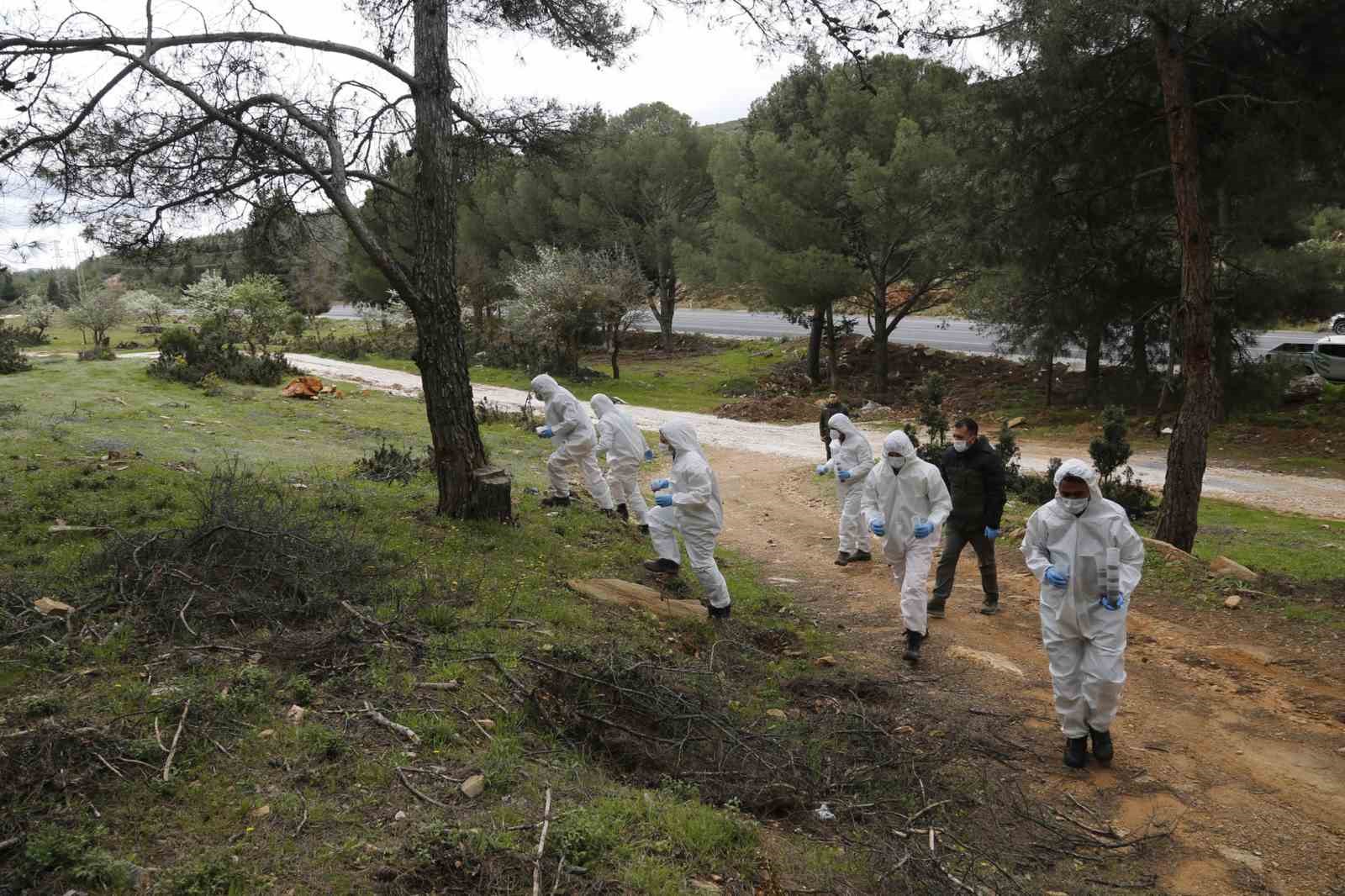 Terminatör böcekler iş başında
