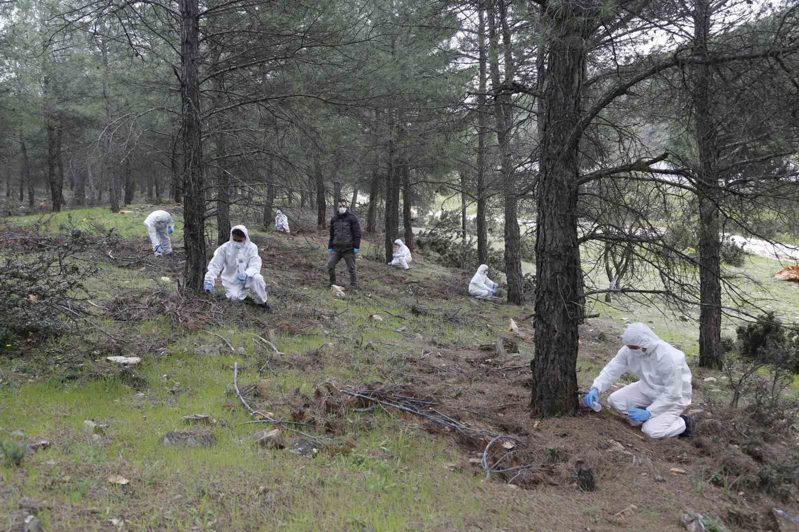 Terminatör böcekler iş başında
