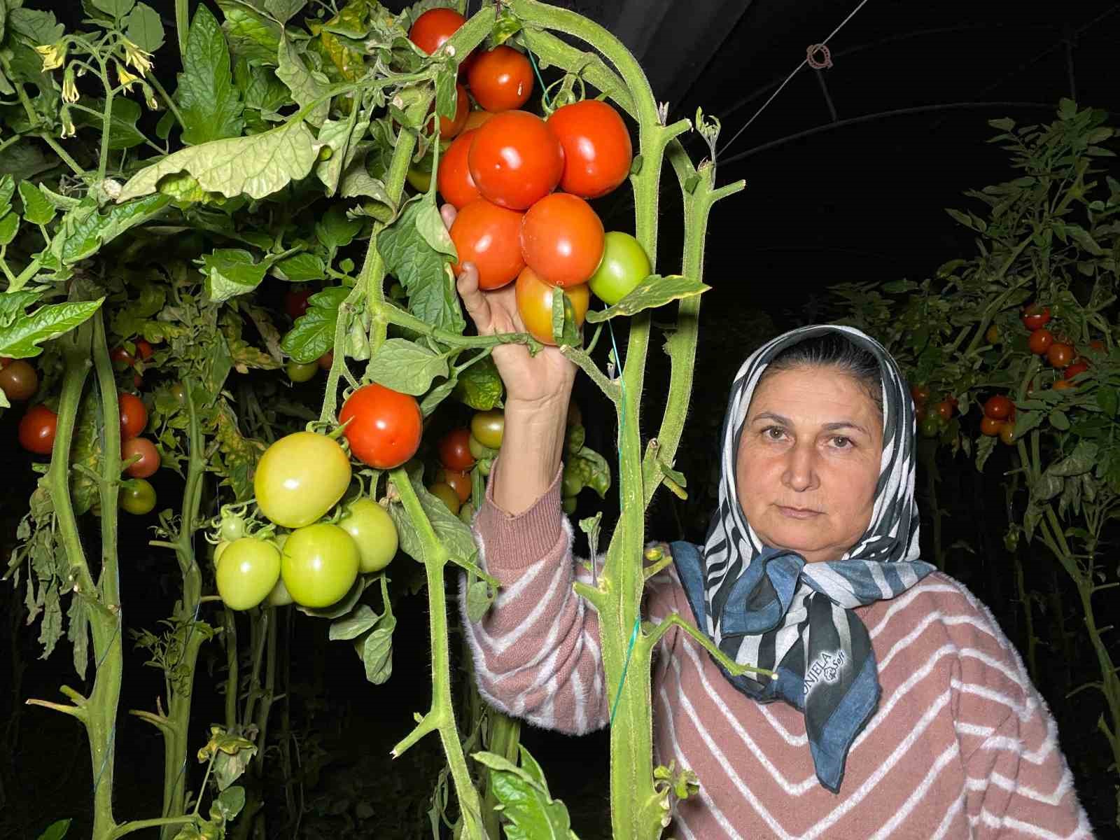 Termometreler eksiyi gördü, zirai don nöbeti başladı
