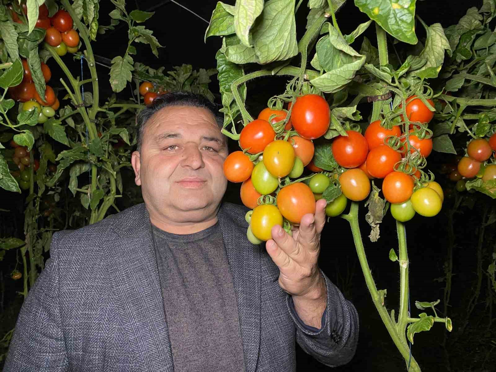 Termometreler eksiyi gördü, zirai don nöbeti başladı
