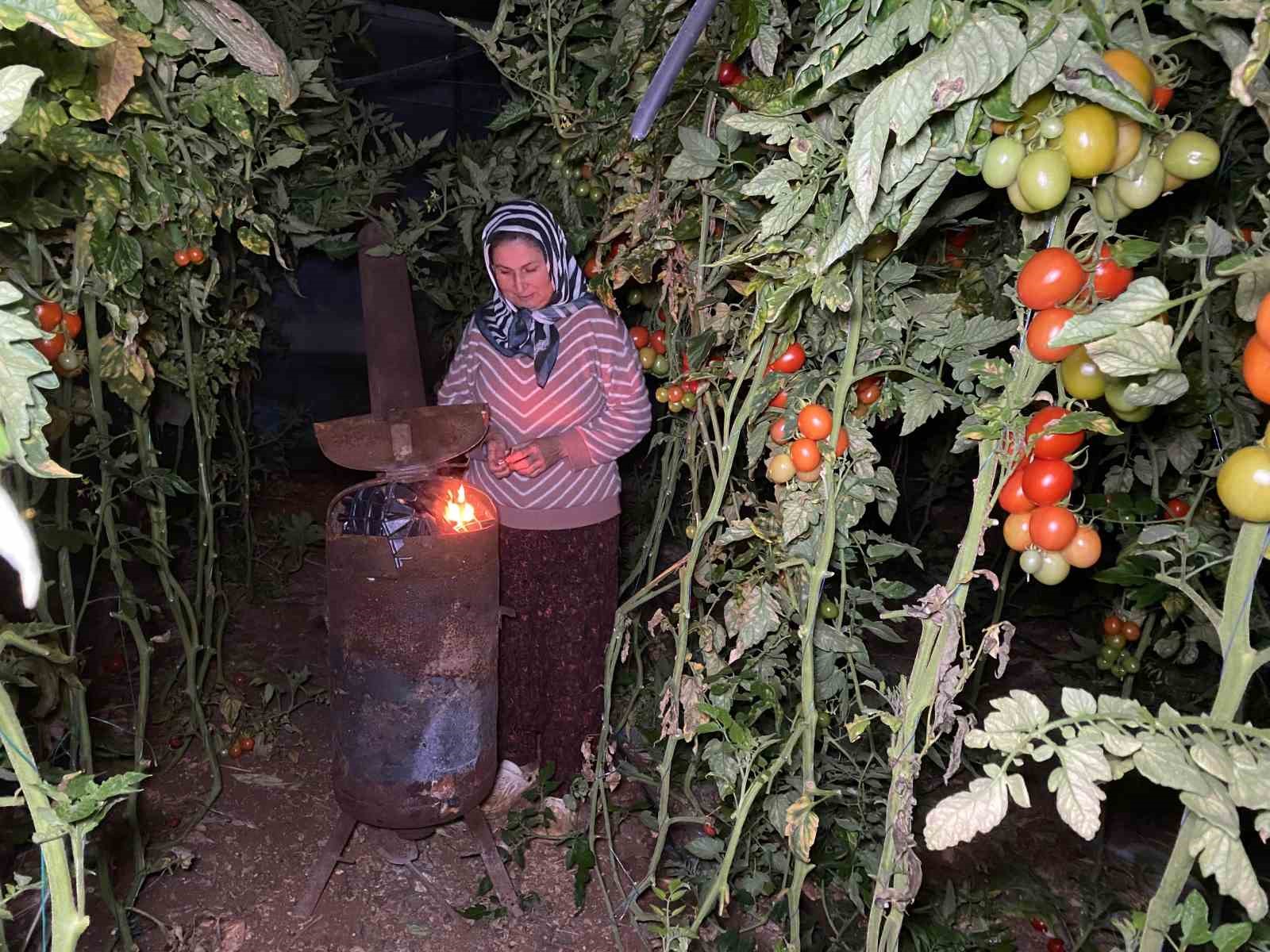 Termometreler eksiyi gördü, zirai don nöbeti başladı
