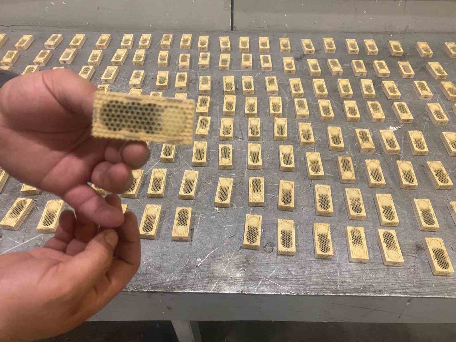 Ticaret Bakanlığı, 2025 yılında da kaçak canlı hayvan ticaretine geçit vermedi
