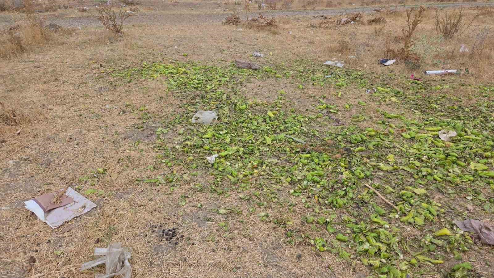 Ticaret Bakanlığı’ndan biber görüntülerine yalanlama
