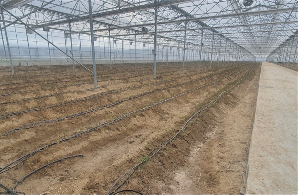 TKDK’dan 2025’te 61 projeye 123 milyon TL hibe
