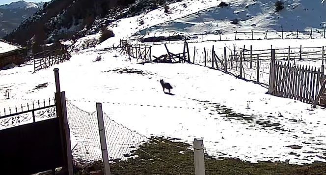 Tokat’ta belgeselleri aratmayan köy
