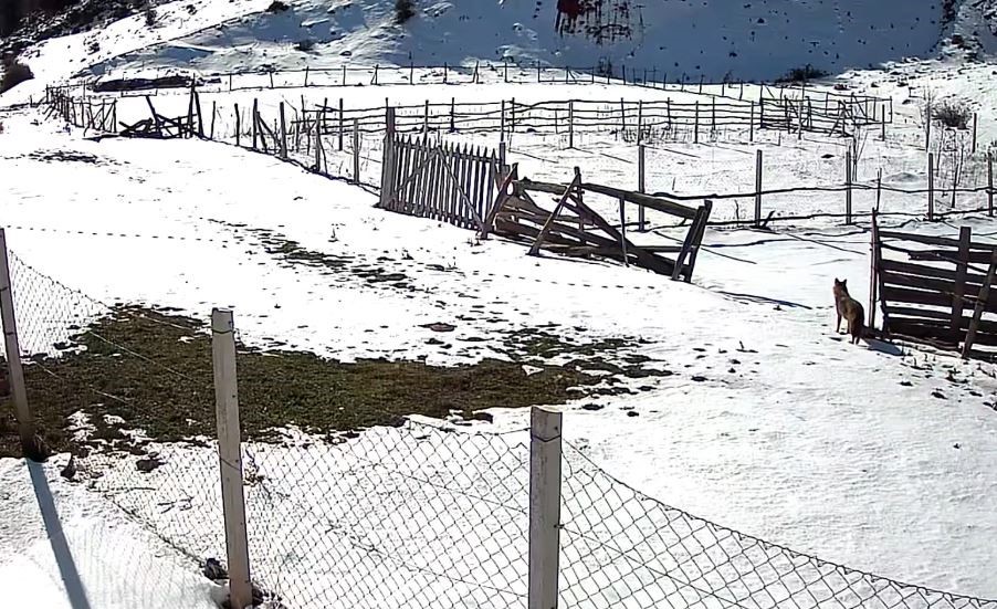 Tokat’ta belgeselleri aratmayan köy
