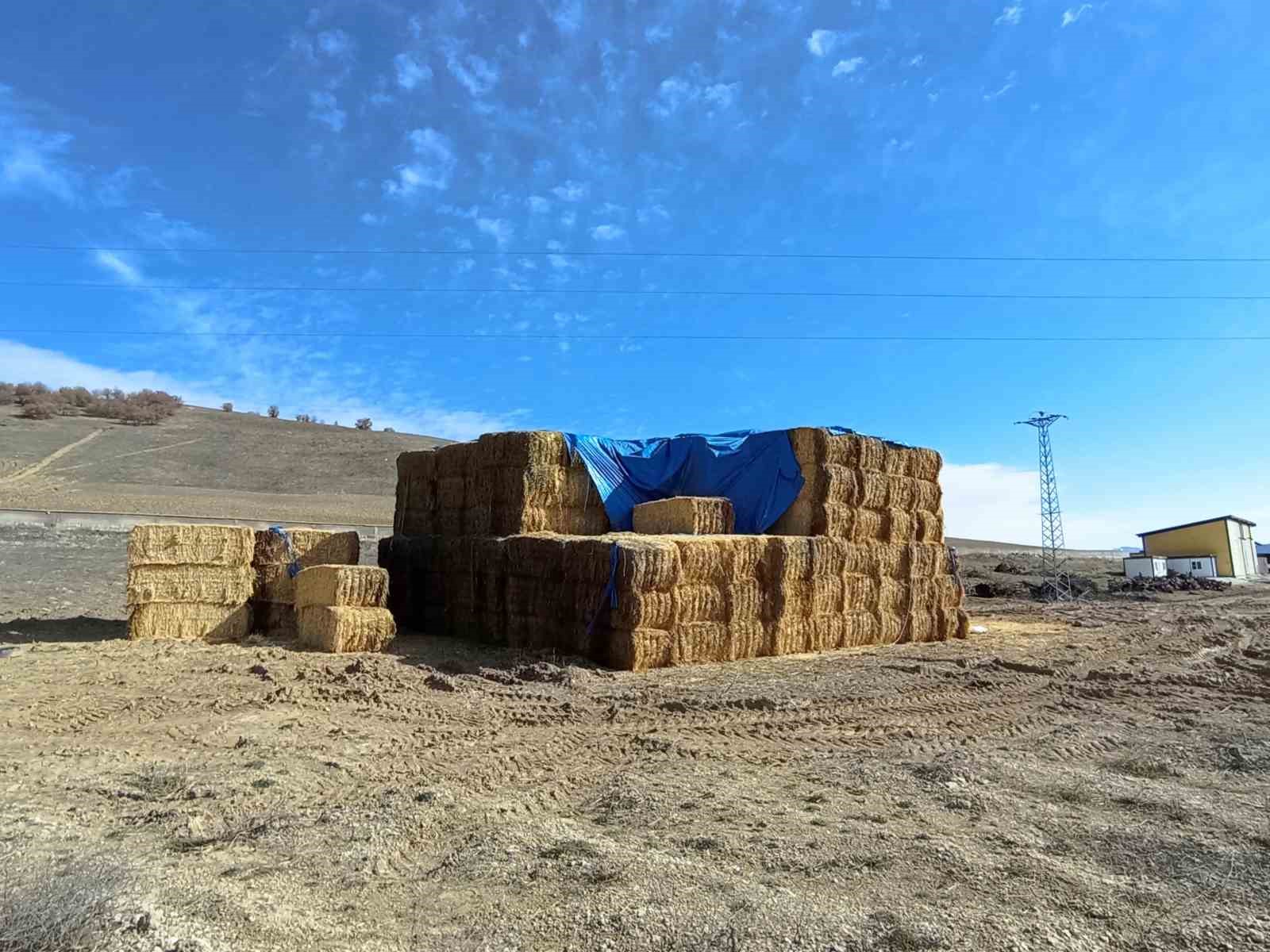 Tokat’ta elektrik akımına kapılan genç son yolculuğuna uğurlandı
