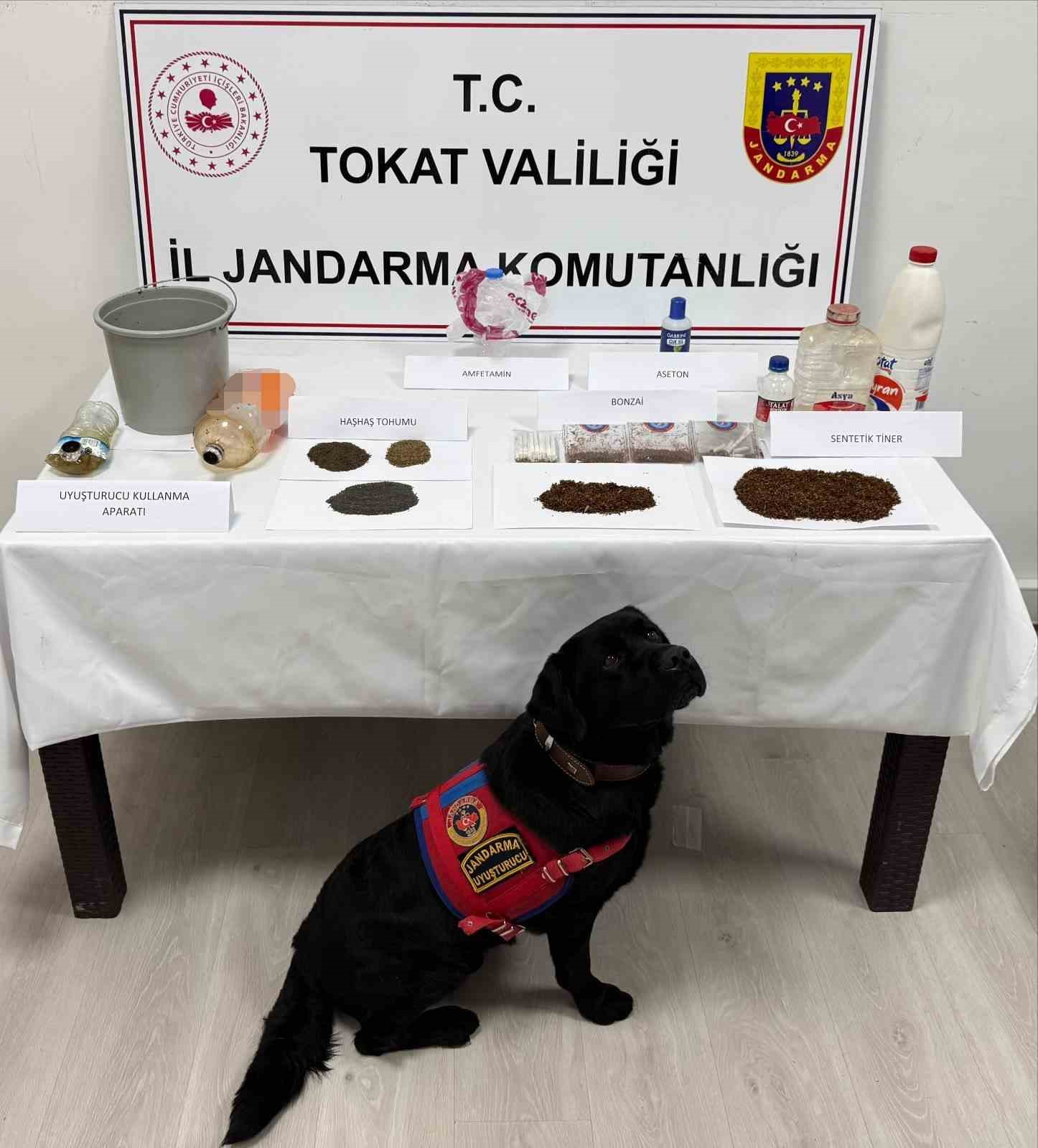 Tokat’ta jandarmadan uyuşturucu operasyonu: 8 gözaltı
