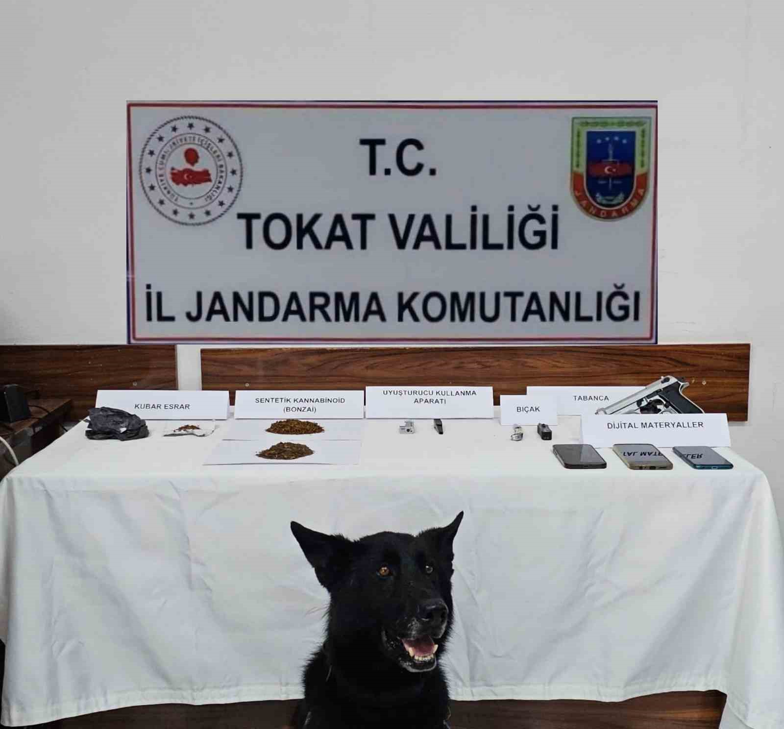 Tokat’ta jandarmadan zehir tacirlerine operasyon: 5 gözaltı
