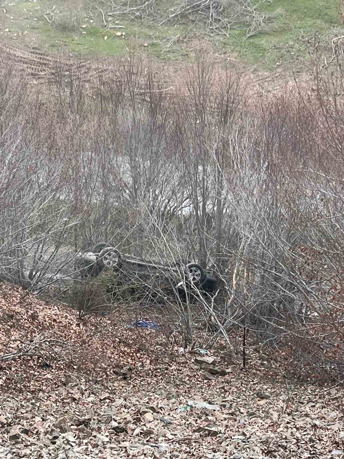 Tokat’ta otomobil şarampole uçtu: 2 yaralı
