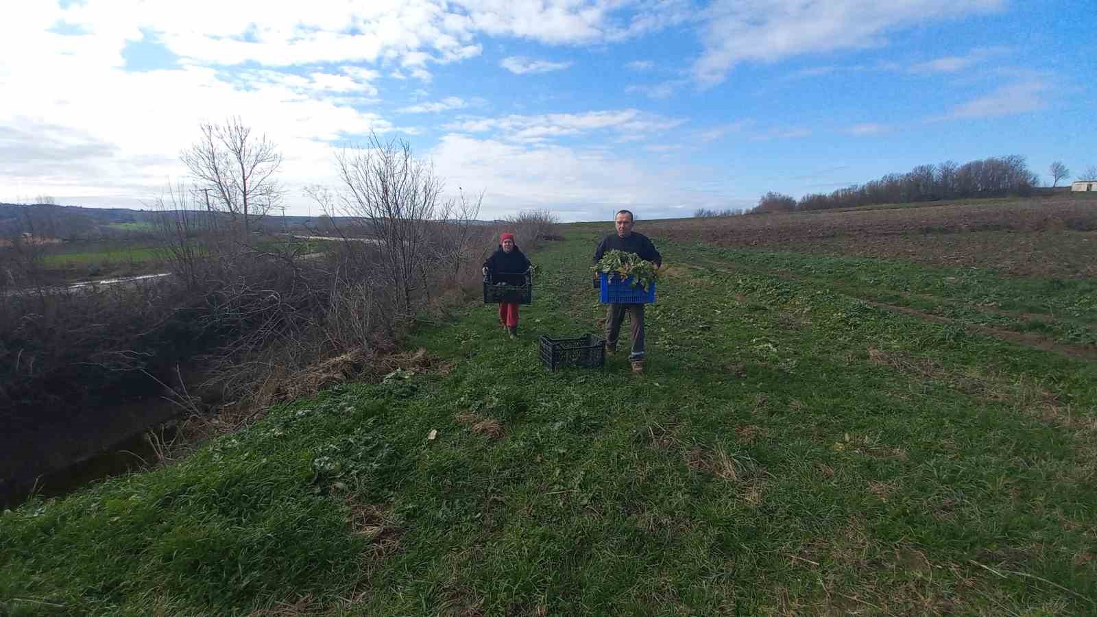 Toprağa emek, çocuklara gelecek: Karı-koca dört mevsim tarlada çalışıyor
