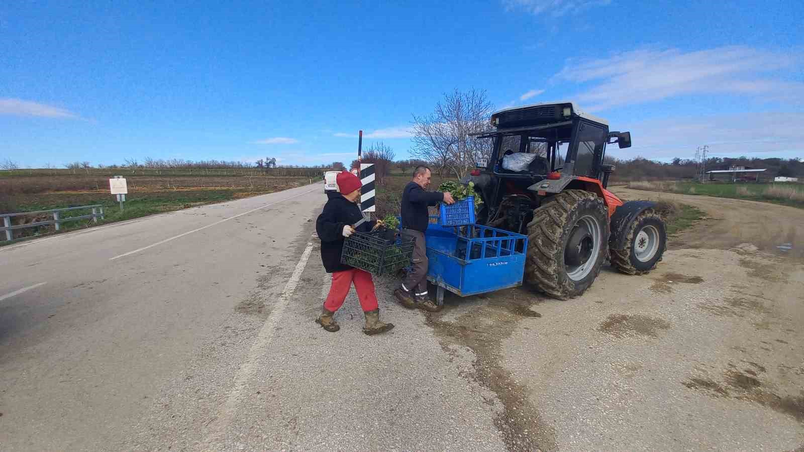 Toprağa emek, çocuklara gelecek: Karı-koca dört mevsim tarlada çalışıyor
