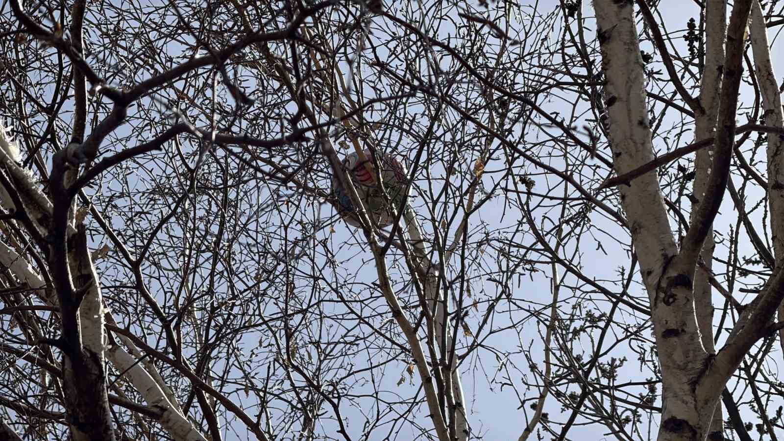 Topu almak için çıktığı ağaçtan inemeyen çocuk itfaiyeden yardım istedi
