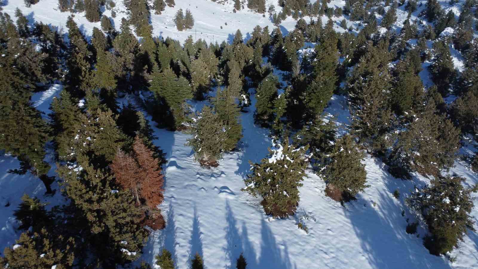 Toroslar’da kar güzelliği: Çocuğu da yaşlısı da doyasıya eğlendi
