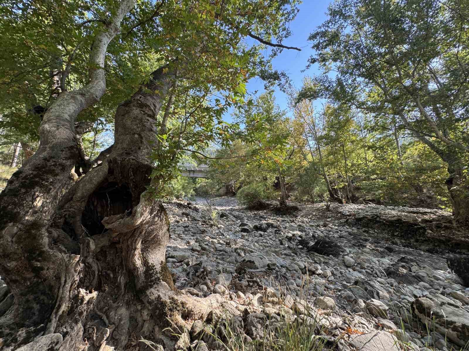 Toroslar’da yağış bereketi kuruyan Üzümdere Irmağını yeniden canlandırdı, şelaleler coştu
