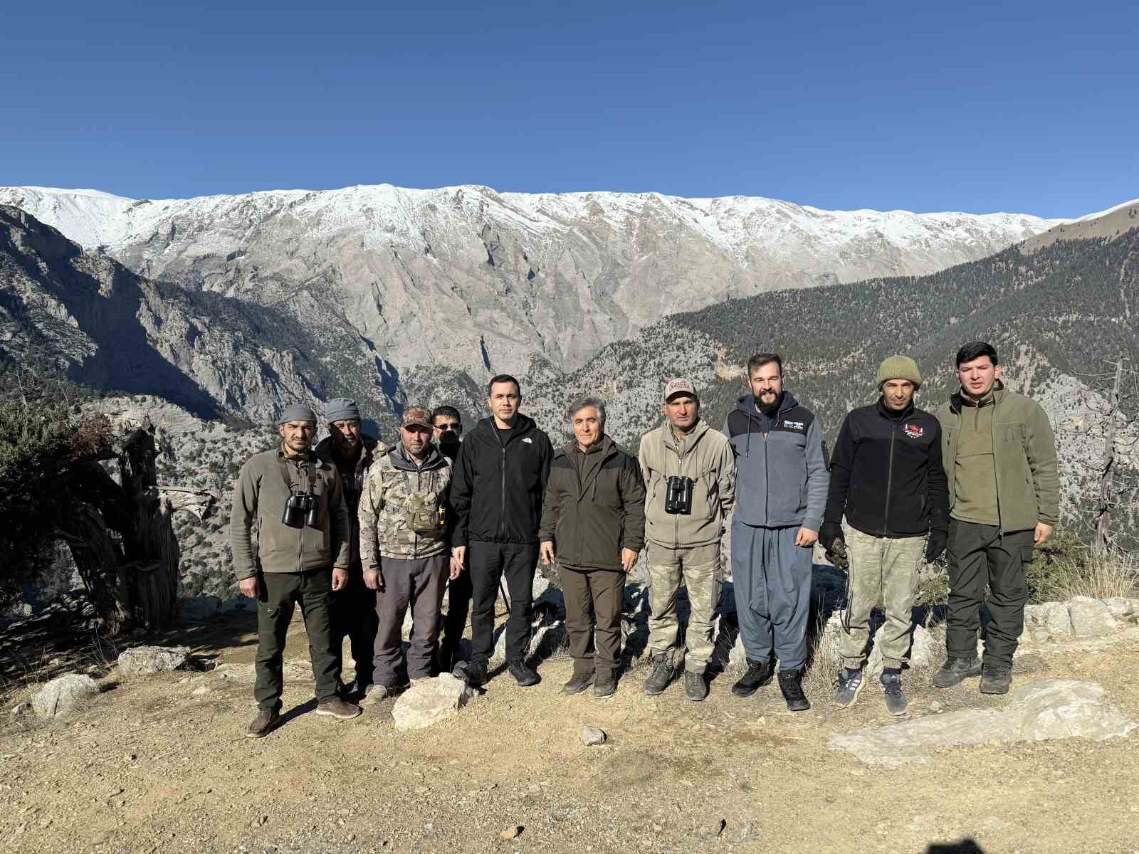 Toroslardaki yaban keçileri koruma altında
