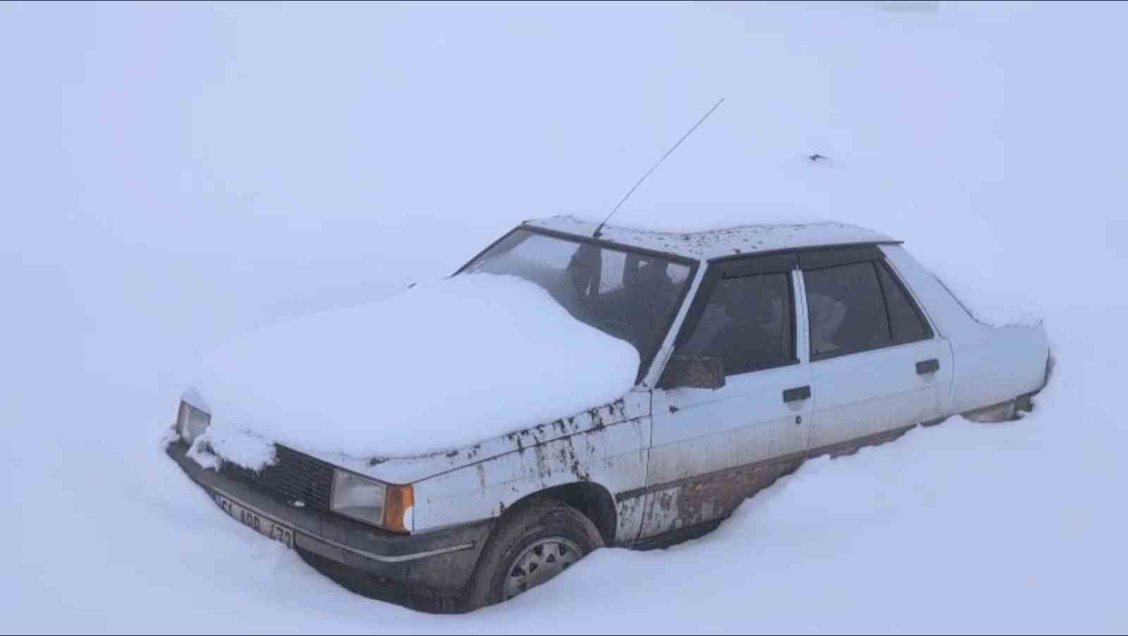 Torul’da kar altında ayı nöbeti
Torul’da kar altında ayı nöbeti