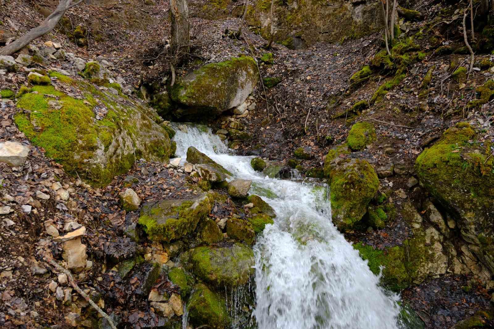 Torul’un gizemli su kaynakları: Gülaçar köyünde mevsimsel doğa olayı
Torul’un gizemli su kaynakları: Gülaçar köyünde mevsimsel doğa olayı