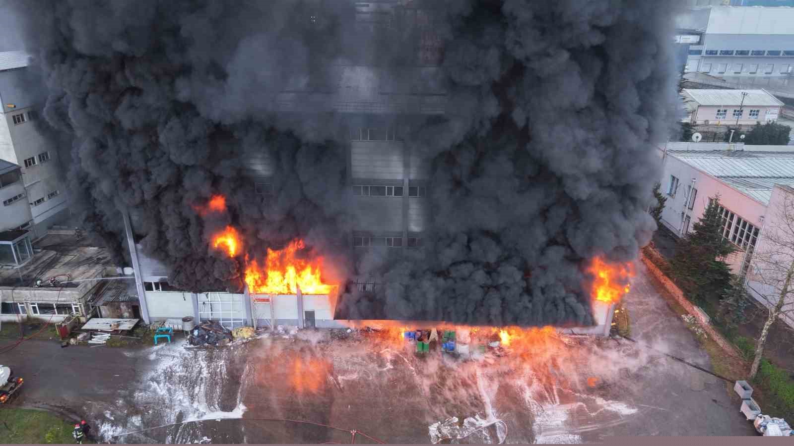 Trabzon’da fındık fabrikasında yangın
