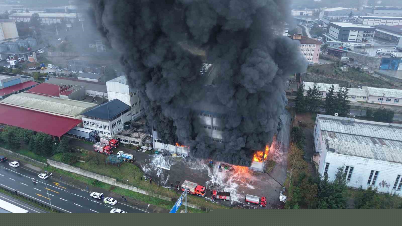Trabzon’da fındık fabrikasında yangın
