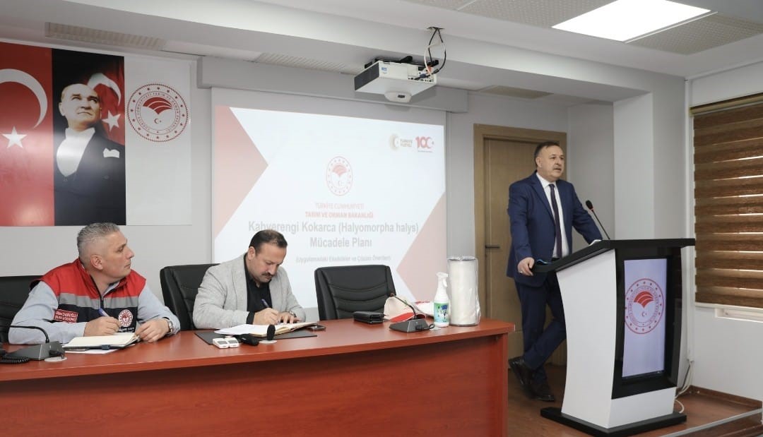 Trabzon’da kahverengi kokarca ile mücadelede yol haritası belirlendi
