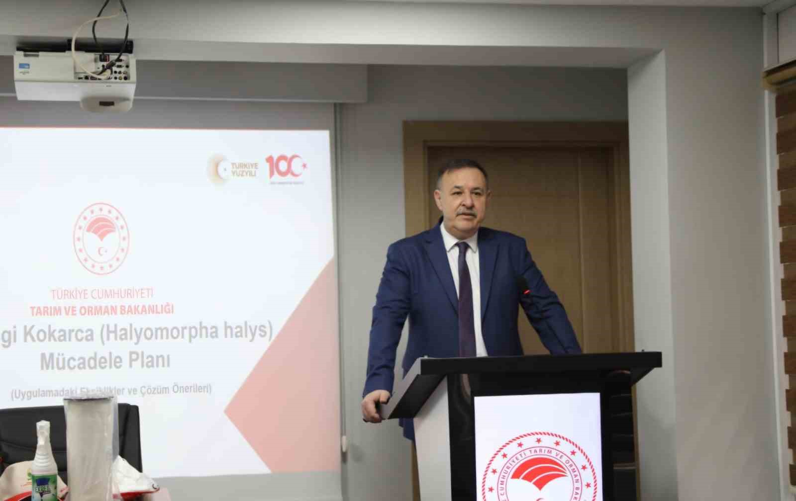 Trabzon’da kahverengi kokarca ile mücadelede yol haritası belirlendi
