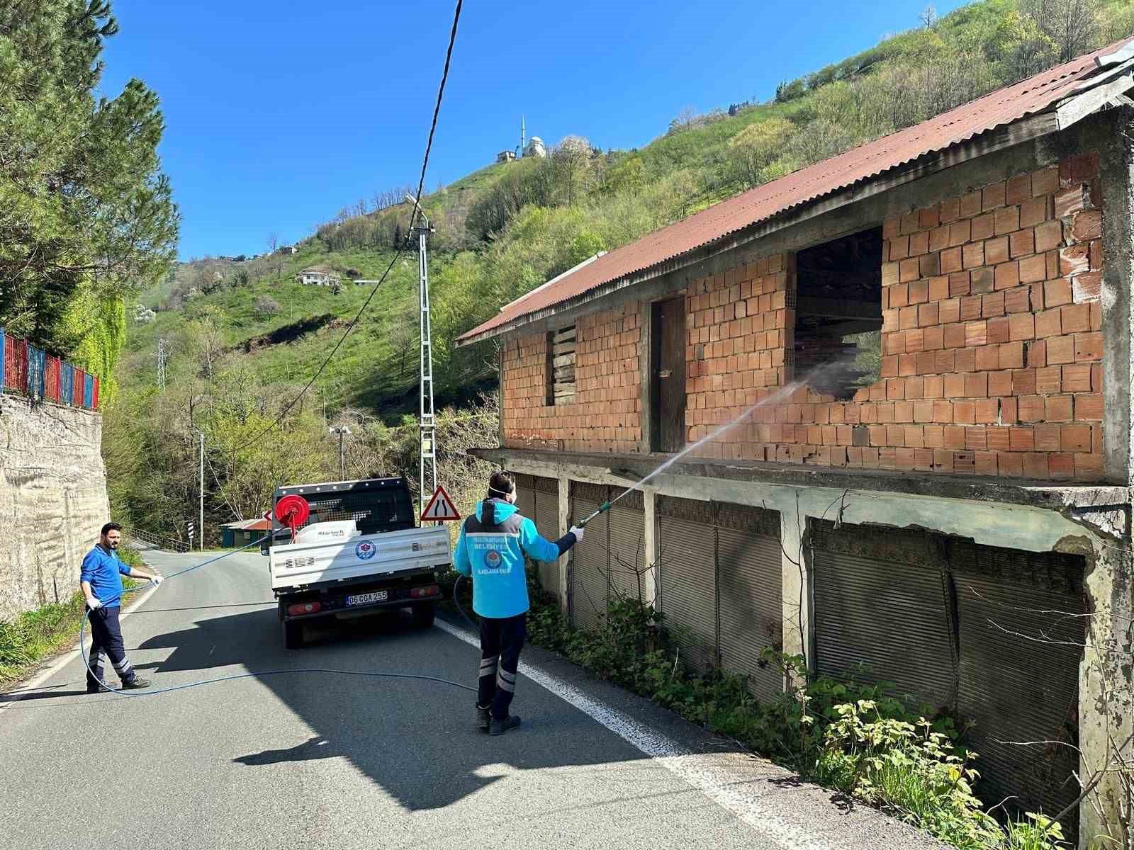 Trabzon’da kokarca ile mücadele sürüyor
Trabzon’da kokarca ile mücadele sürüyor