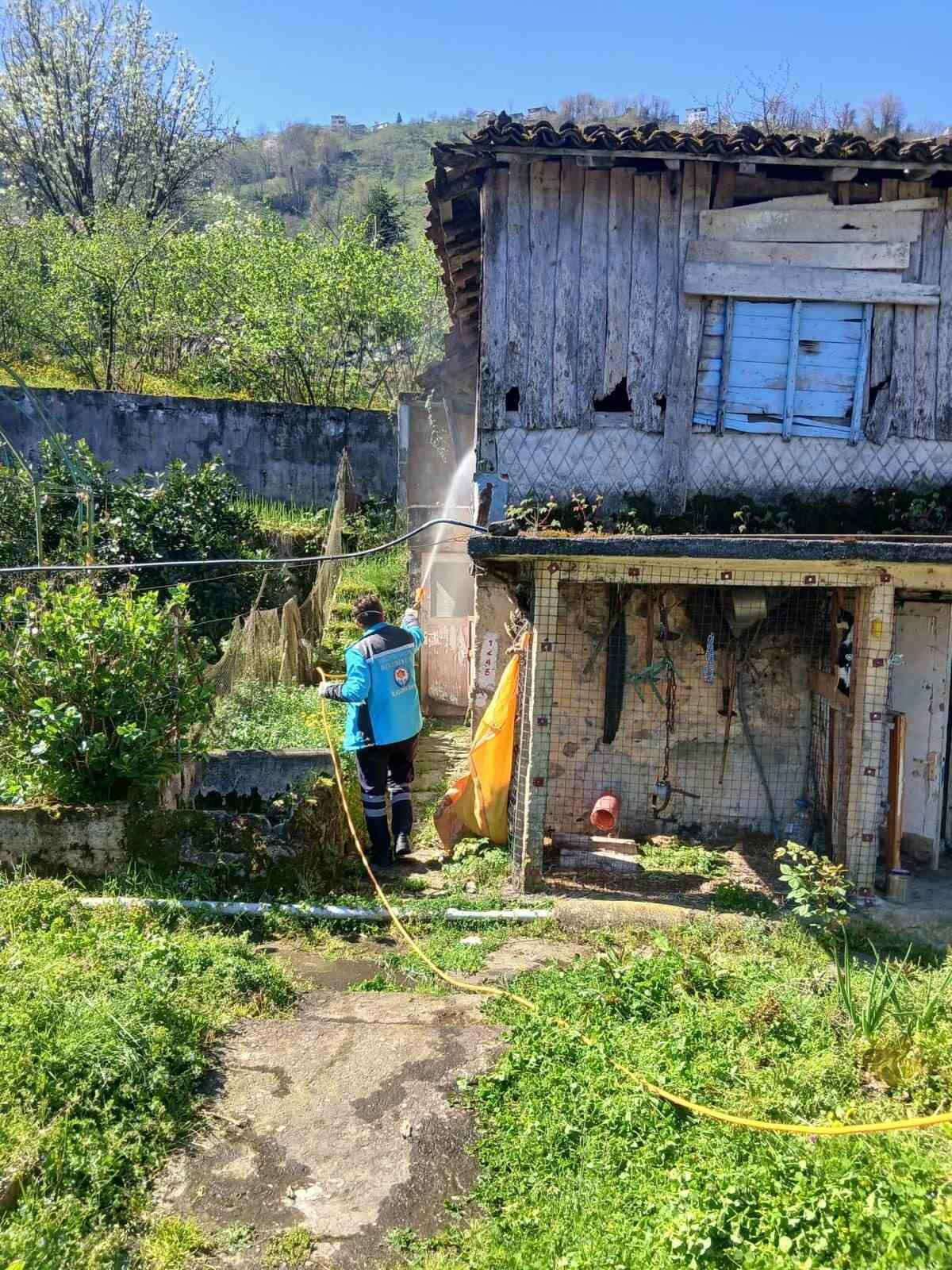 Trabzon’da kokarca ile mücadele sürüyor
Trabzon’da kokarca ile mücadele sürüyor