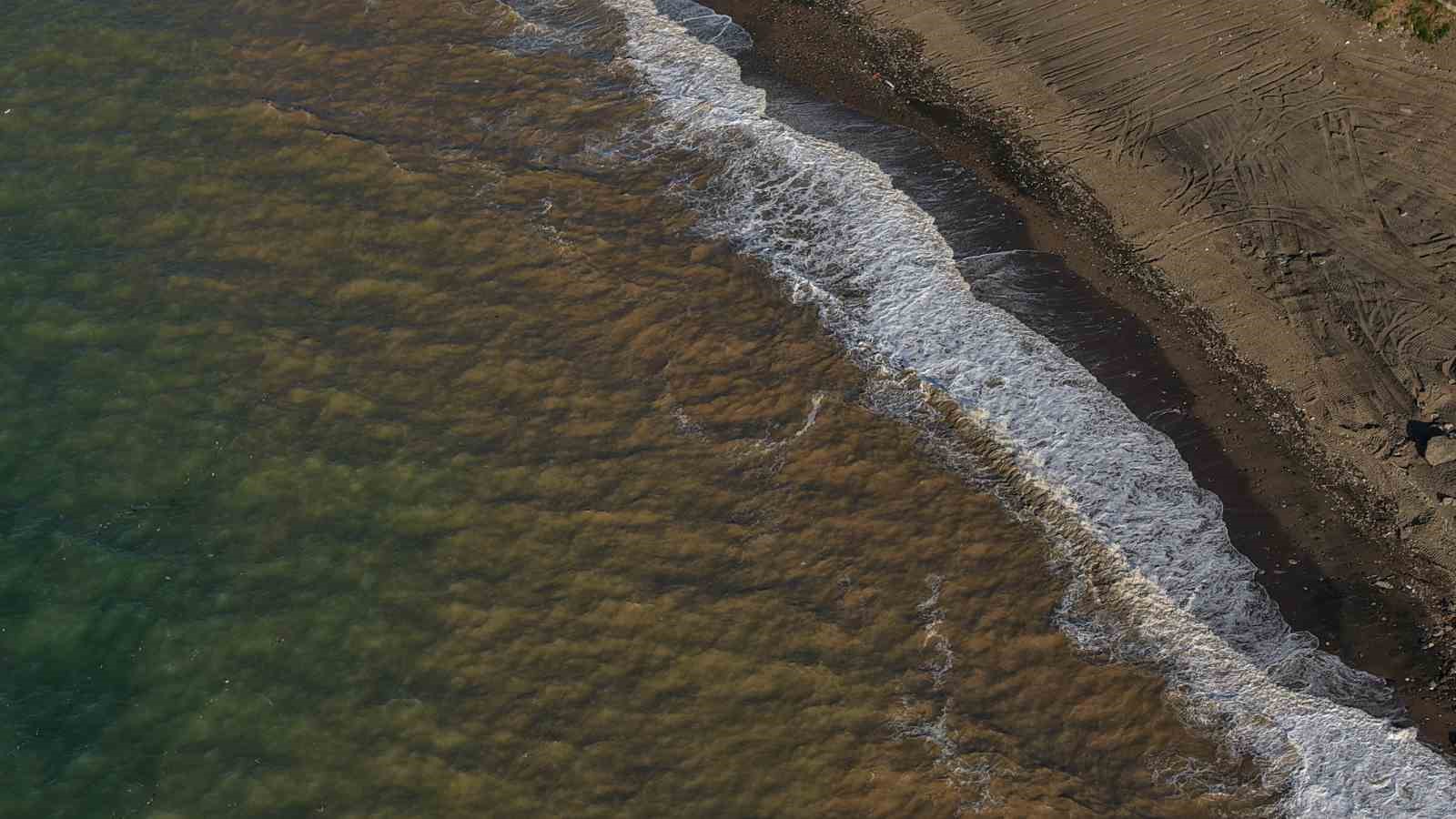 Trabzon’da sahil çamura bulandı
