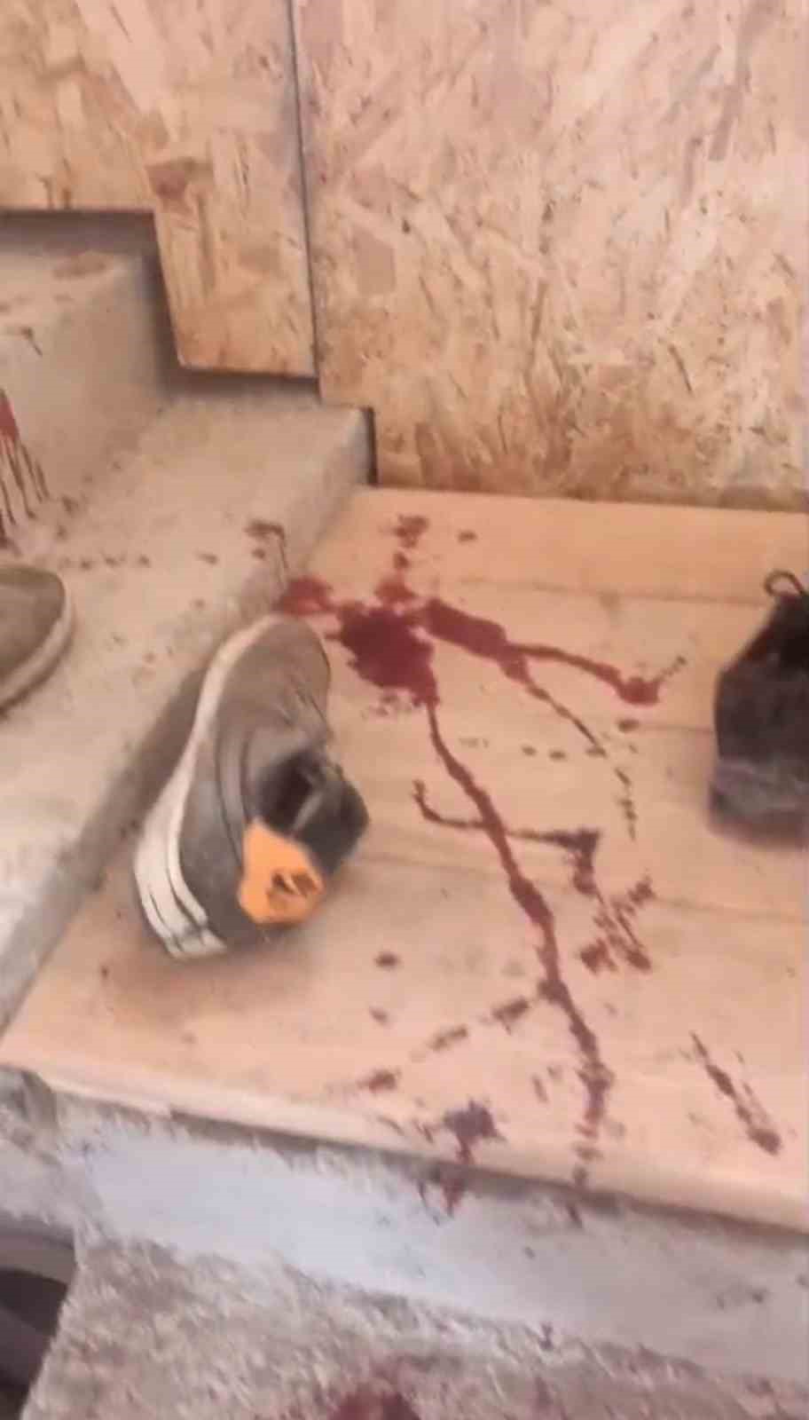 Trabzon’da yayla evine giren ayı ortalığı savaş alanına çevirmiş
