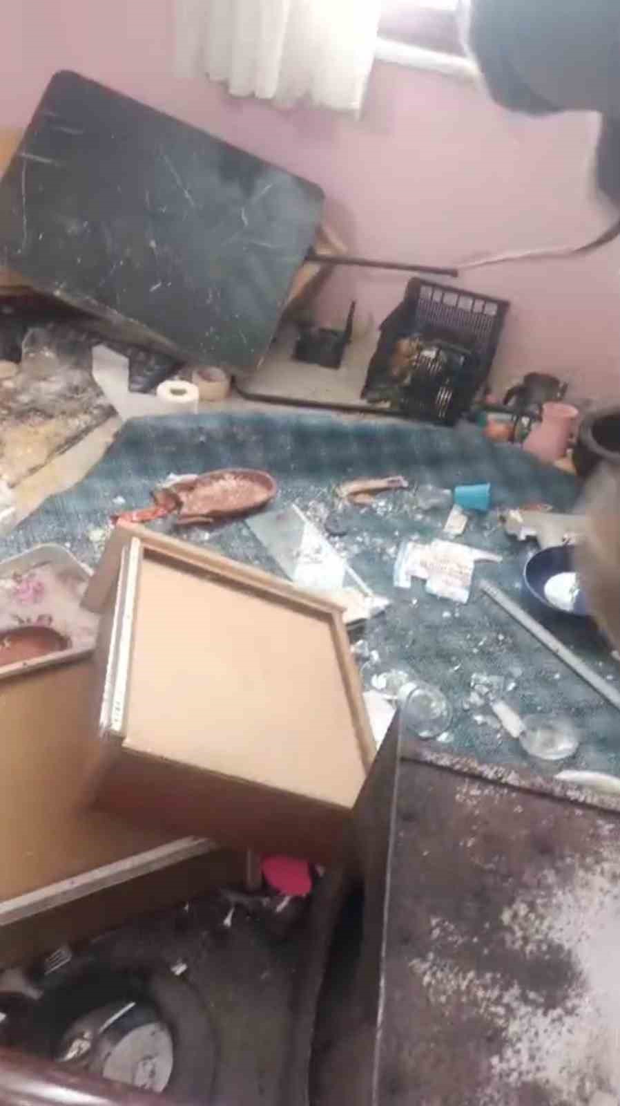 Trabzon’da yayla evine giren ayı ortalığı savaş alanına çevirmiş
