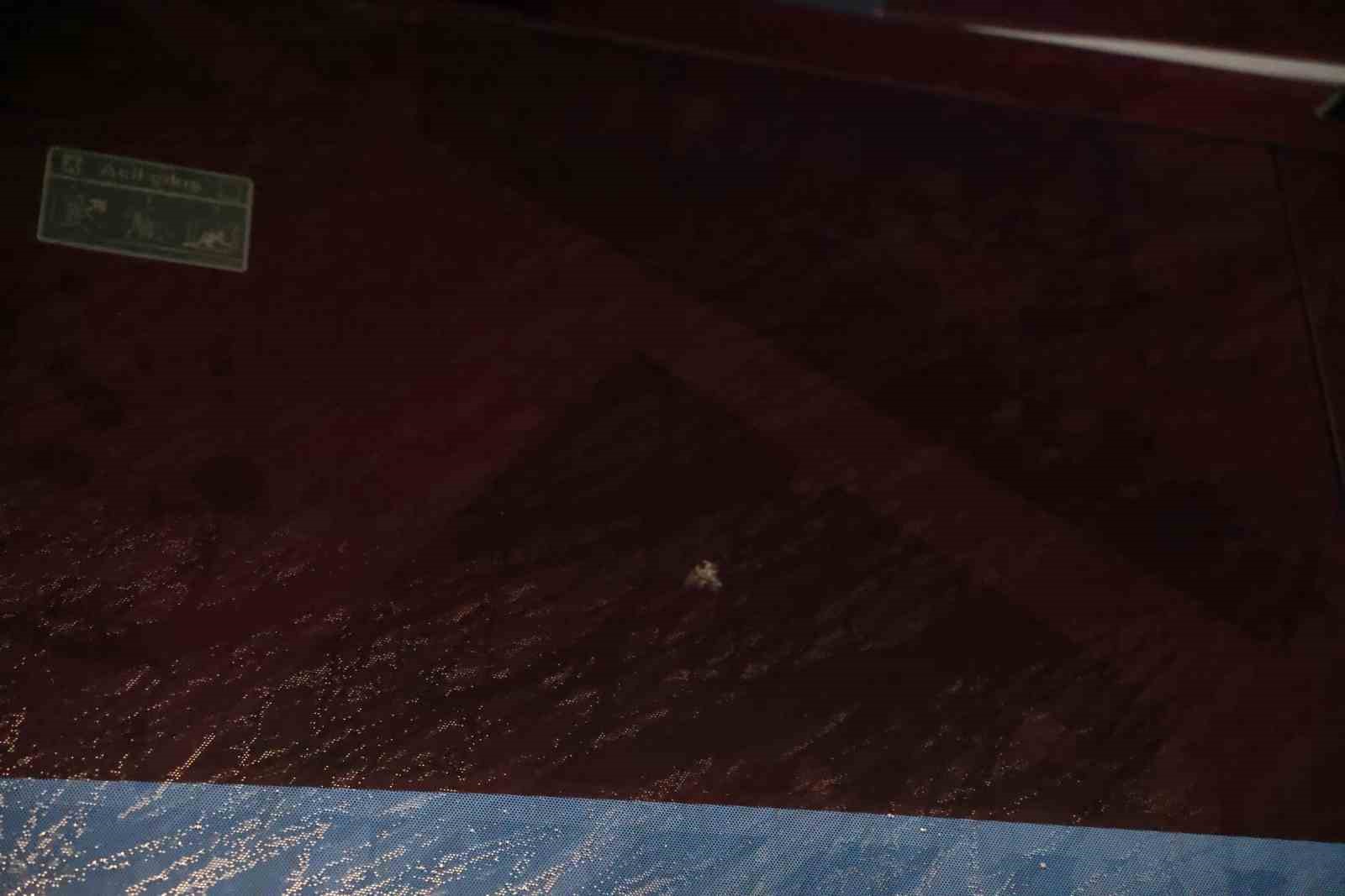 Trabzonspor: "Sporcularımızın ve teknik heyetimizin can güvenliği açık şekilde tehdit altındadır"
