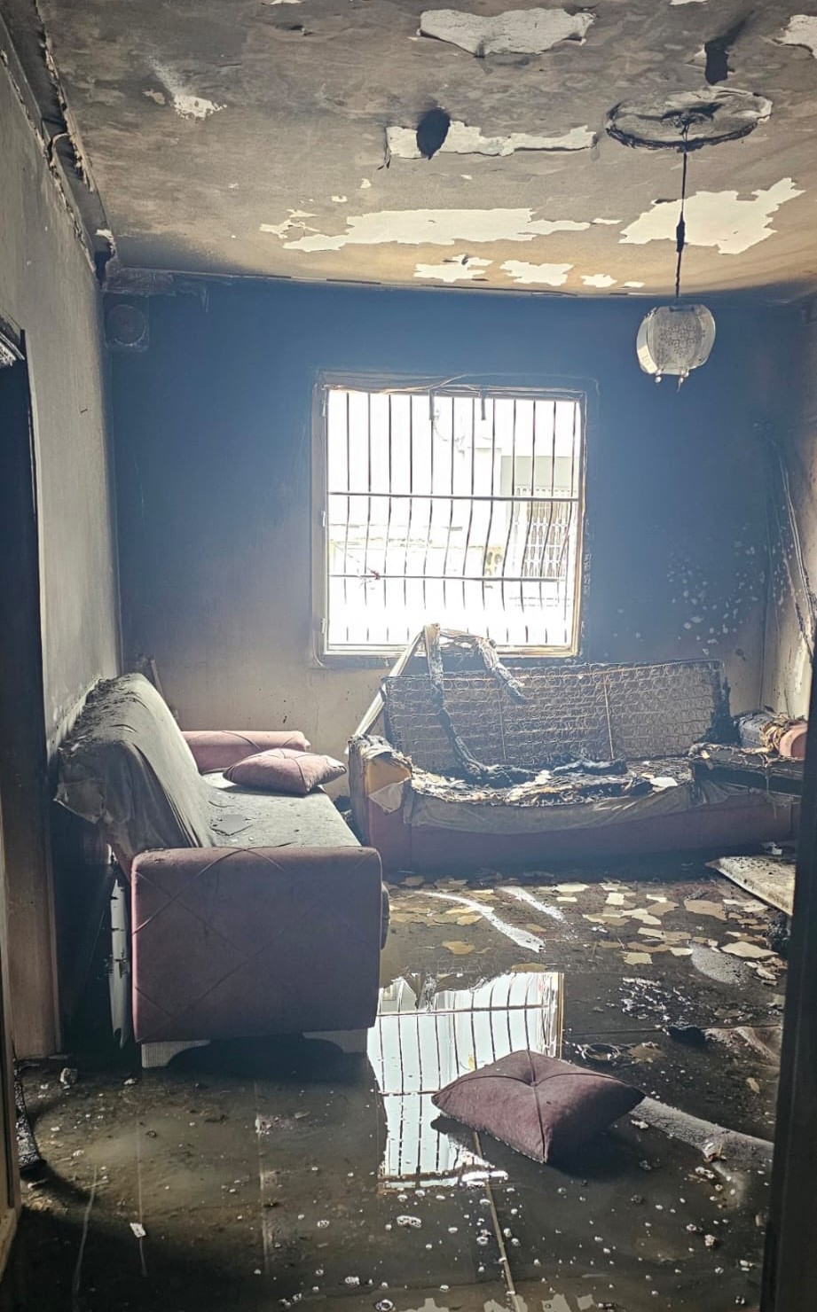 Trafikte başlayan tartışmayla şehit ailesine musallat oldular: Göç eden aileden 100 deve diyet istediler
