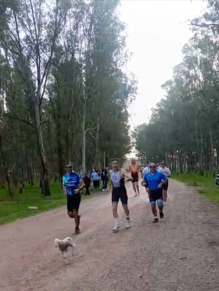 Triatlon yarışında parkura giren kuzu, renkli görüntülere neden oldu
