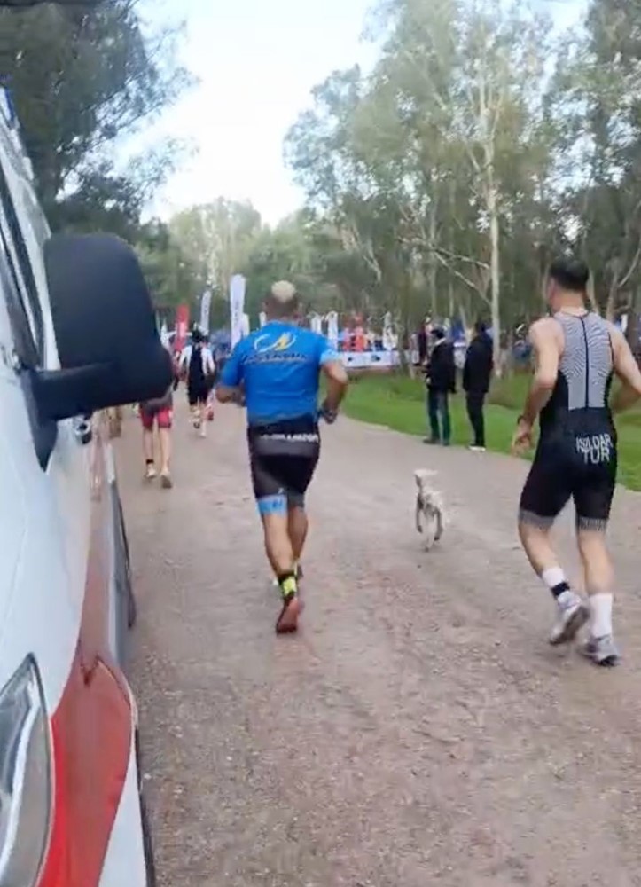 Triatlon yarışında parkura giren kuzu, renkli görüntülere neden oldu
