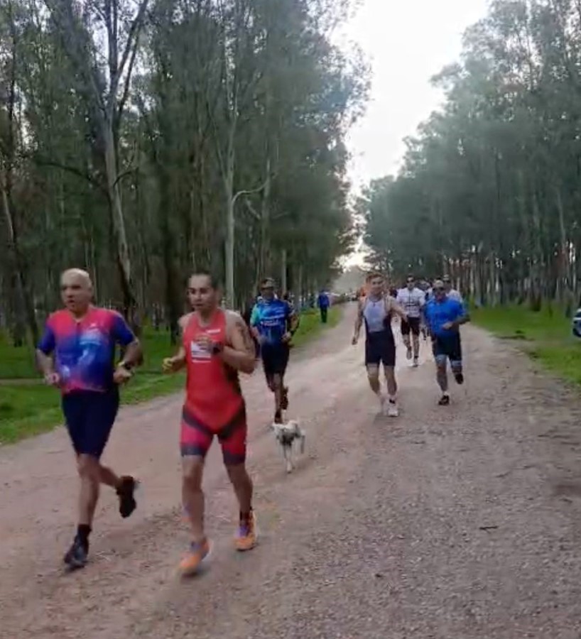 Triatlon yarışında parkura giren kuzu, renkli görüntülere neden oldu
