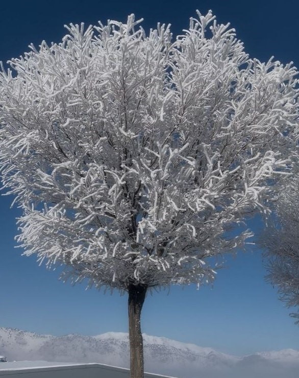 Tufanbeyli’de eksi 20 derecede kartpostallık manzara
