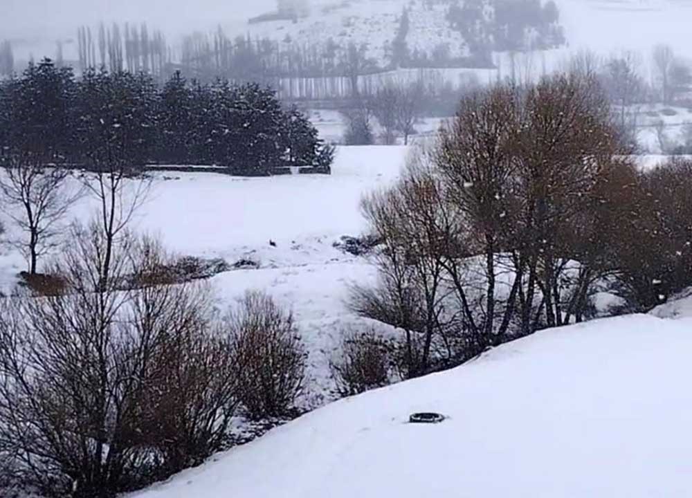 Tufanbeyli’de kar yağışı etkili oldu
