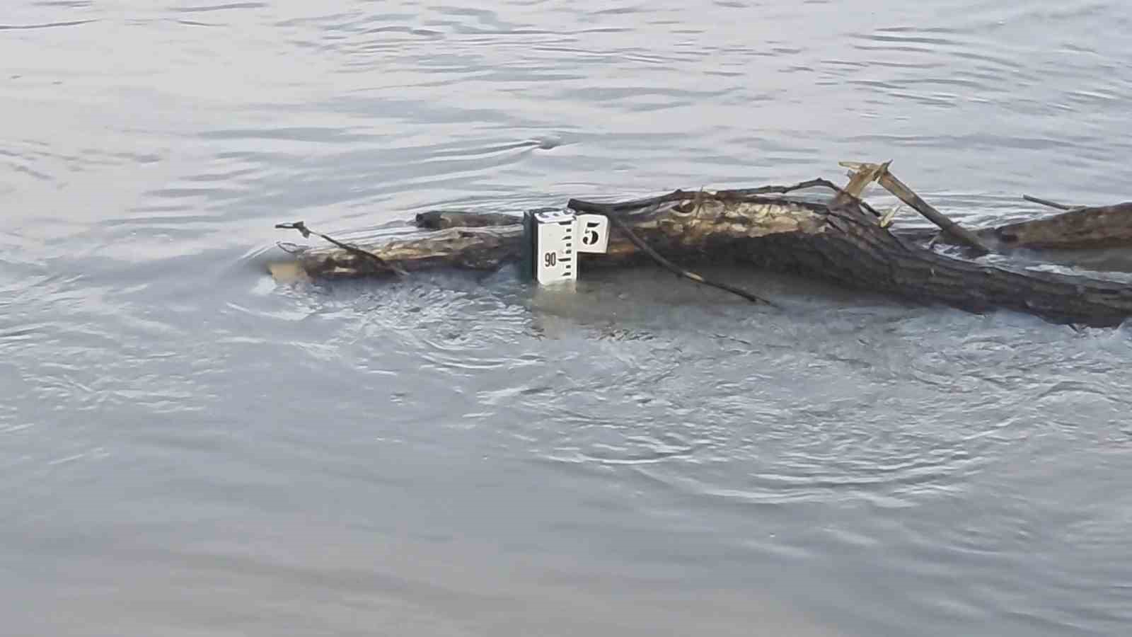 Tunca ve Meriç’te alarm seviyesi kırmızıdan turuncuya düştü: Debiler geriledi
