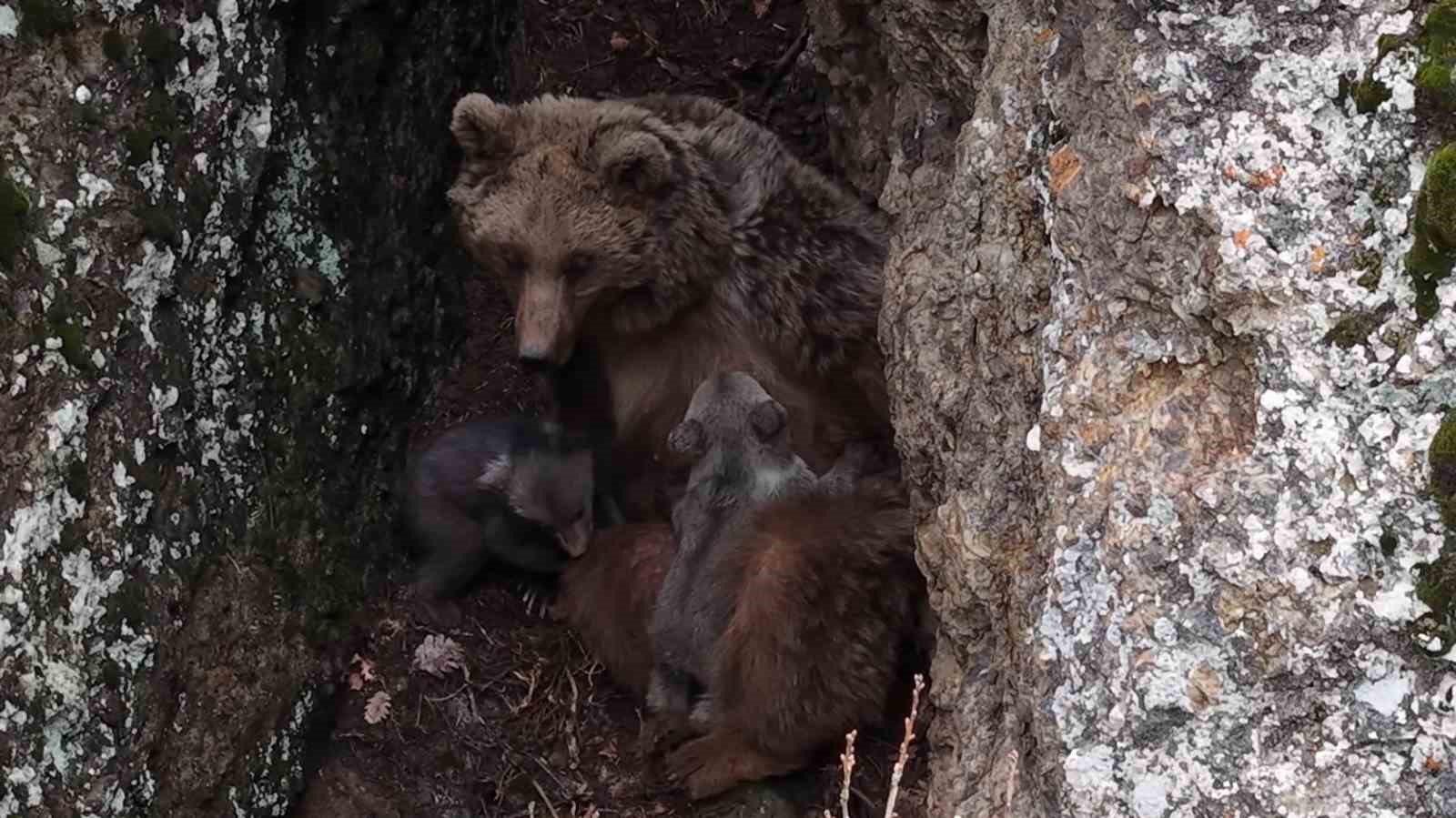 Tunceli’de belgeselleri aratmayan görüntüler
