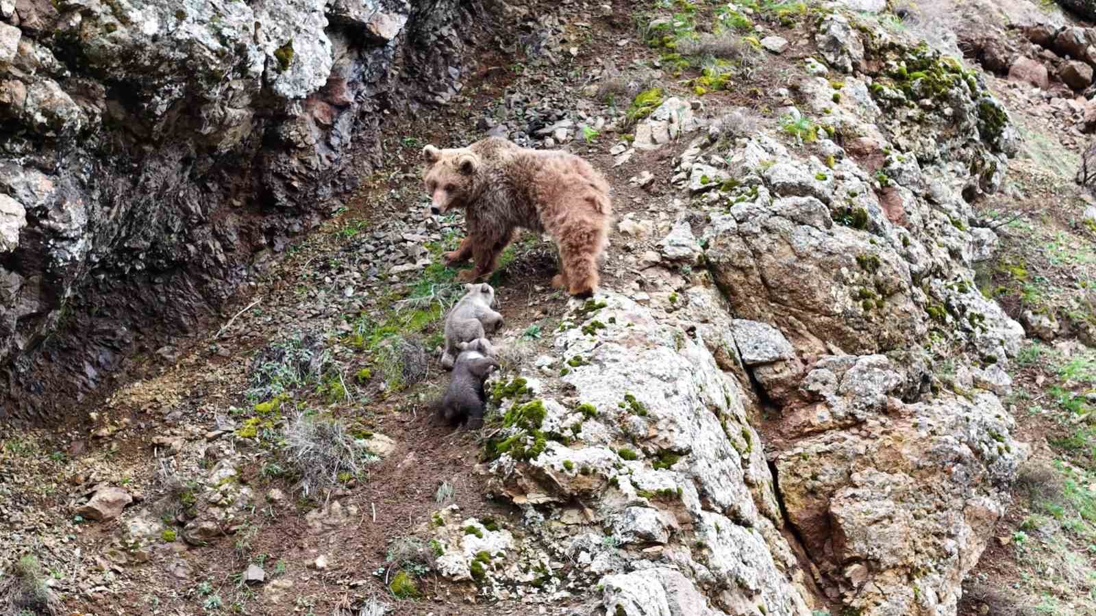 Tunceli’de belgeselleri aratmayan görüntüler
