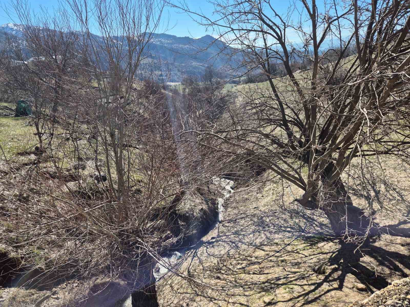 Tunceli’de heyelan tedbirleri: 19 konuttan 7’si boşaltıldı
Tunceli’de heyelan tedbirleri: 19 konuttan 7’si boşaltıldı