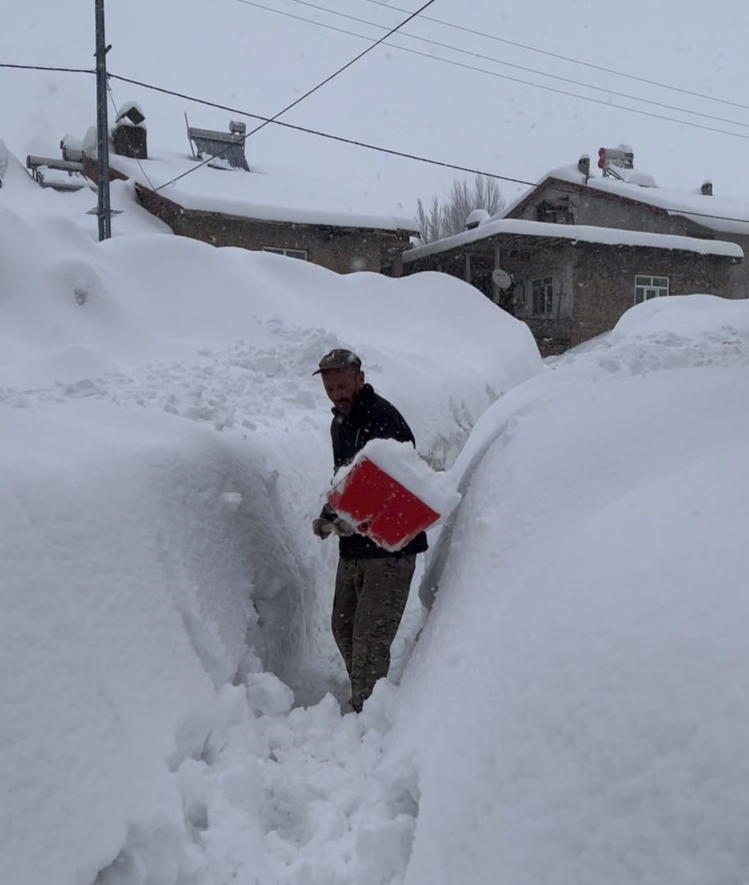 Tunceli’de kar kalınlığı 1,5 metreyi aştı: İnekler karda kayboldu
