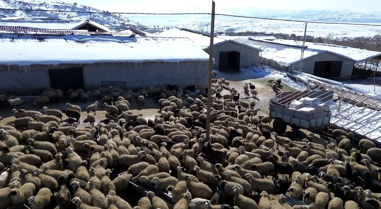 Tunceli’de ocak yağışları 65 yıllık ortalamayı aştı: Kuraklık kaygısı azaldı
