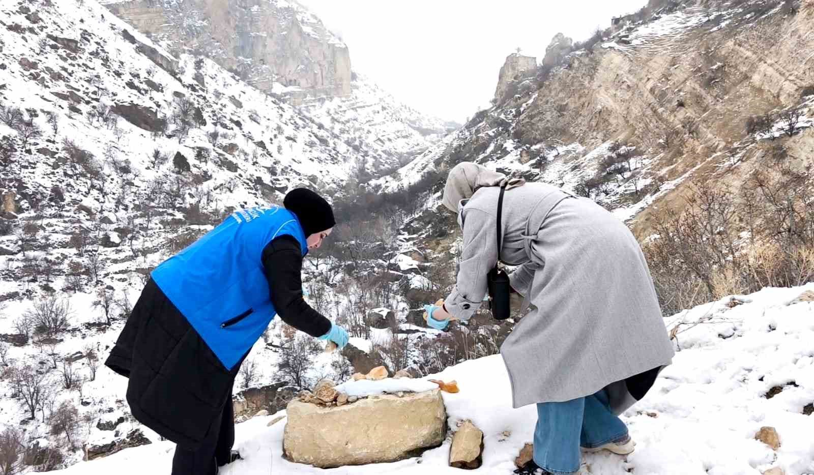 Tunceli’de soğuk kışa sıcak dokunuş: Gençler yaban hayatı için seferber oldu
Tunceli’de soğuk kışa sıcak dokunuş: Gençler yaban hayatı için seferber oldu
