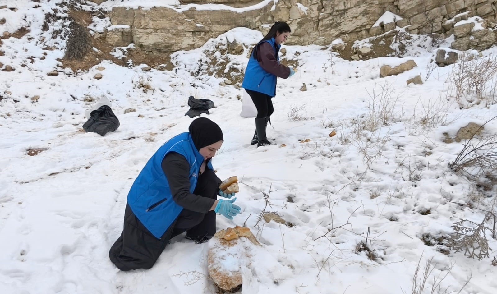 Tunceli’de soğuk kışa sıcak dokunuş: Gençler yaban hayatı için seferber oldu
Tunceli’de soğuk kışa sıcak dokunuş: Gençler yaban hayatı için seferber oldu