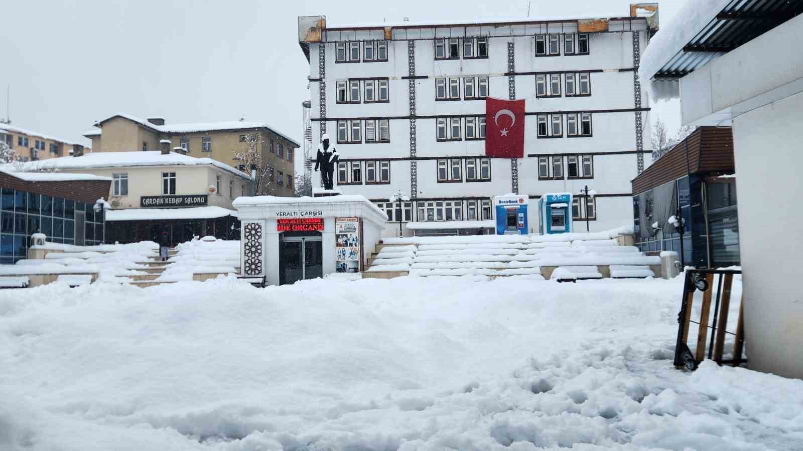 Tunceli’de yoğun kar yağışı etkili oldu
